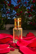 Musk & Rose